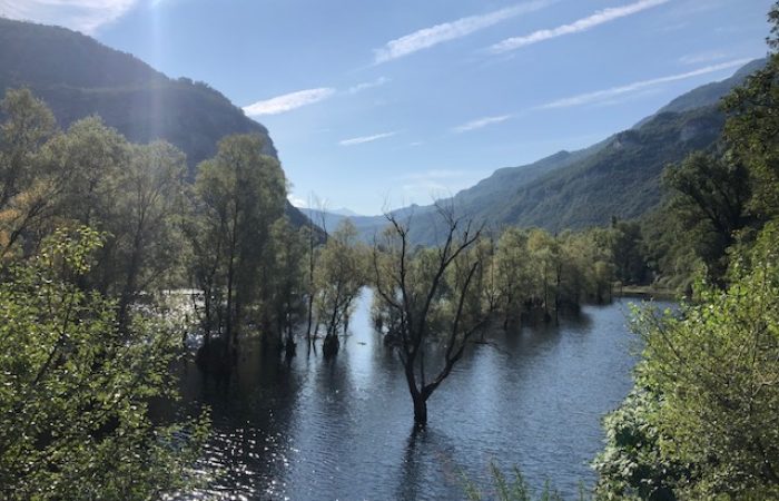 Lago di Loppio
